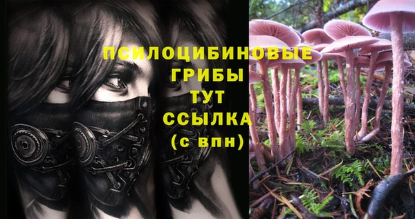 Альфа ПВП Балахна