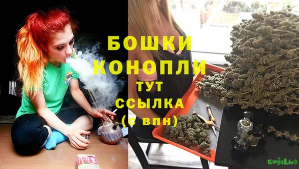 spice Баксан