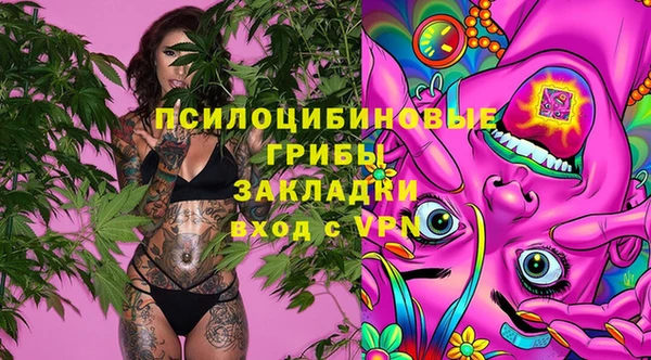 spice Баксан
