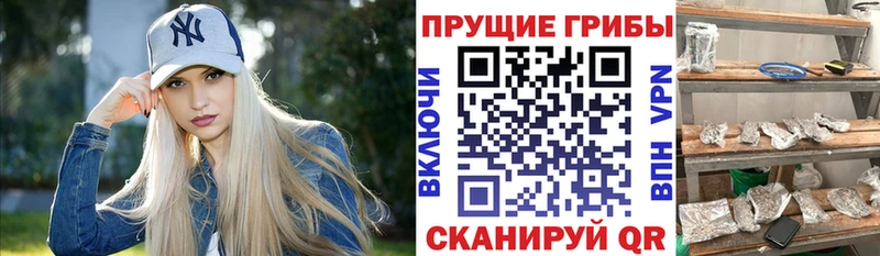Псилоцибиновые грибы MAGIC MUSHROOMS  купить  цена  Белёв 